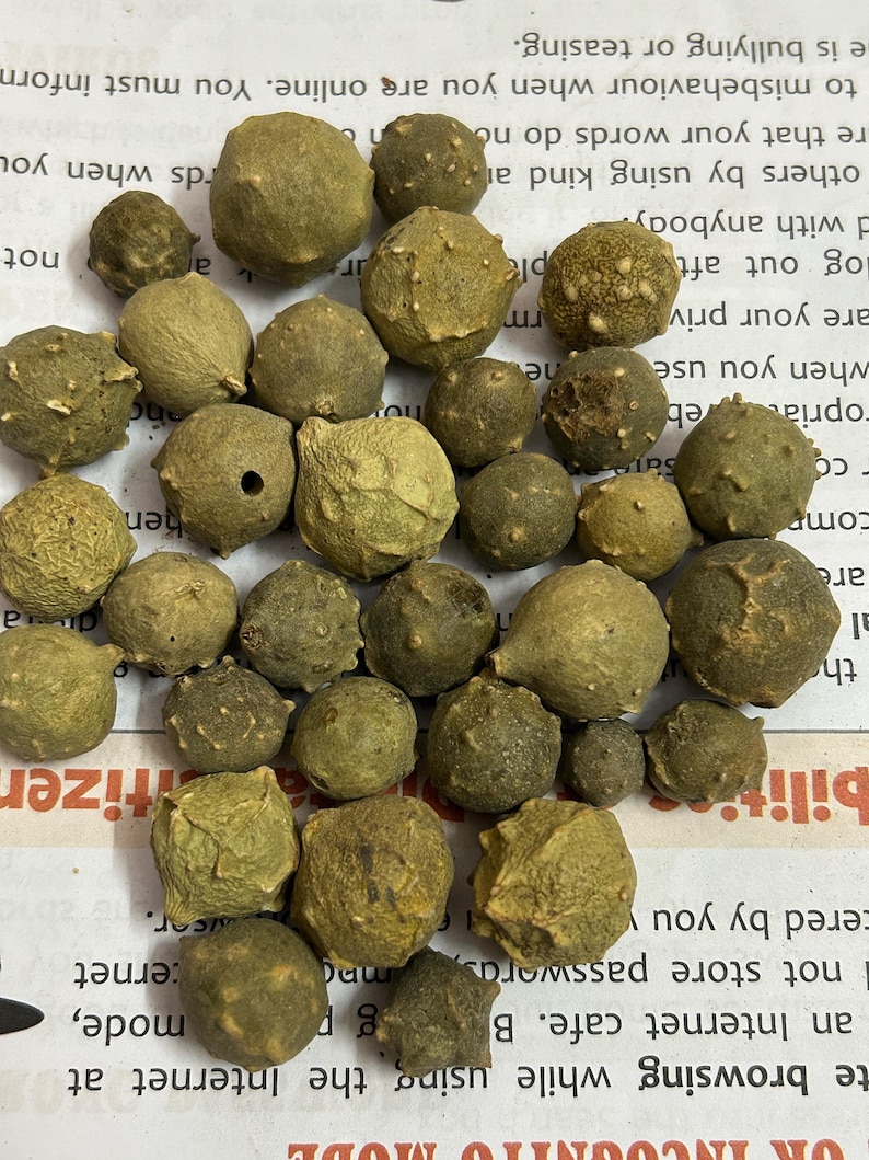 Puede incluir: Una colecci&oacute;n de objetos redondos y secos, de diferentes tama&ntilde;os y tonos de verde y marr&oacute;n. Los objetos tienen una superficie texturizada y con bultos. Est&aacute;n dispersos sobre una superficie impresa, posiblemente semillas o nueces.