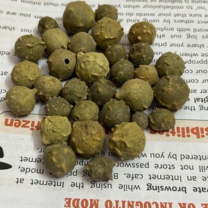 Puede incluir: Un conjunto de peque&ntilde;os objetos redondos, texturizados, de color verde oliva. Los objetos var&iacute;an ligeramente en tama&ntilde;o y forma, algunos mostrando peque&ntilde;os agujeros o imperfecciones. Est&aacute;n dispersos sobre una superficie de papel impreso.