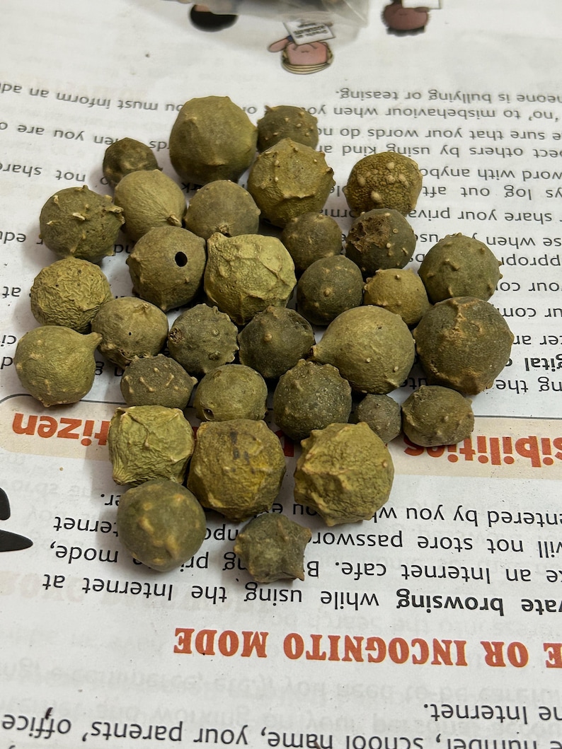 Puede incluir: Un conjunto de peque&ntilde;os objetos redondos, texturizados, de color verde oliva. Los objetos var&iacute;an ligeramente en tama&ntilde;o y forma, algunos mostrando peque&ntilde;os agujeros o imperfecciones. Est&aacute;n dispersos sobre una superficie de papel impreso.