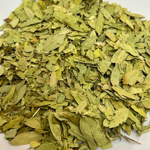 Senna patta powder,Sonamukhi leaves leafs,Sanay Senna Sona patta,sanay leaves,jadi buti