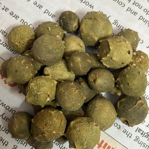 Puede incluir: Un conjunto de peque&ntilde;as c&aacute;psulas de semillas redondas de color verde oliva. Las c&aacute;psulas tienen una superficie texturizada y tama&ntilde;os variables, agrupadas. La imagen est&aacute; tomada desde arriba, mostrando las formas y colores naturales y org&aacute;nicos.