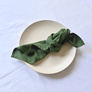 Kamla Export 100 Pcs Moss Green Cotton Napkins, Cotton Napkins for Wedding Party Napkins Pure Soft Kitchen Napkin Pure Cotton Cloth Napkins