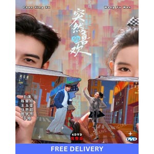 My Page in the 90s (2026) Chinese Drama DVD English Subtitles All Region