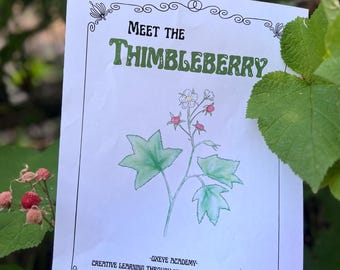 Thimbleberry Nature Study Printable | Homeschool Foraging & SEL Activities (PDF)