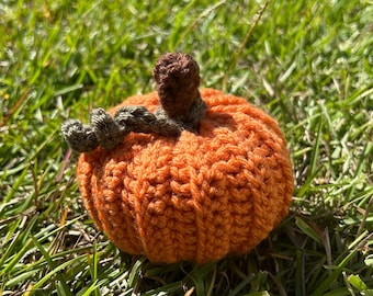 Patrón fácil de calabaza a crochet / PDF para principiantes / Decoración de otoño / Calabazas de otoño a crochet