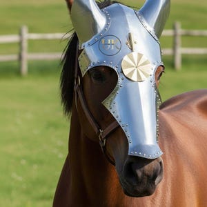 May include: A brown horse wearing a polished silver metal face mask. The mask has a rounded top with ear-like extensions, a nose guard, and is riveted together. A gold-colored circular emblem is on the forehead. The horse is in a grassy field.