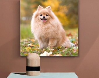 Custom Photo Canvas Print: Personalized Wall Art, Home Decor Gift