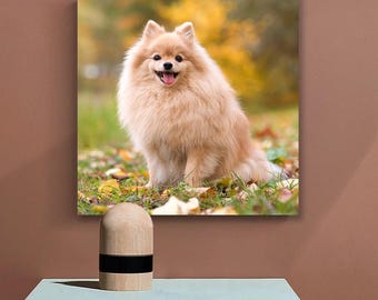 Personalized Photo Canvas Print: Custom Wall Art, Family Portrait