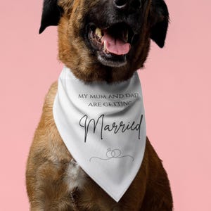 Pet Bandana for Wedding Celebrations, Dog engagement announcement, Dog Accessory for Couples, Bridal Party Pet Attire, Dog Gift for Weddings