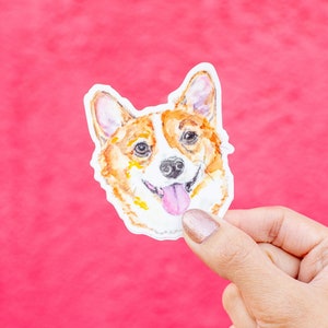 Może przedstawiać: Naklejka akwarelowa przedstawiająca pysk psa Corgi, w odcieniach brązu, bieli i różu. Pies ma radosny wyraz twarzy z wystawionym językiem. Naklejka jest trzymana na jasnoróżowym tle.