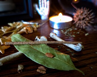 Coinpurse of the Damned | Hand-rolled Prosperity incense