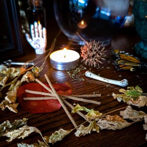 Shadowbloom | Shadow Work, Spirit Communication, Dreamwork image 4