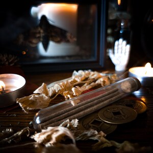 May include: A still-life arrangement featuring a glass tube filled with incense sticks, dried leaves, and antique coins. A lit candle and a framed moth image are in the background, creating a mystical ambiance. The color palette is warm, with a focus on earthy tones.