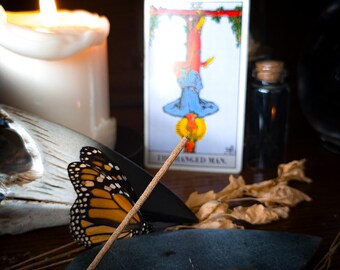 Ash and Honey – Transformation • Letting Go • Sweet Clarity