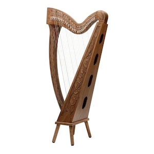New design Irish 22 Strings Harp Rosewood Musical Instrument Harp Free Key,Bag,Strings Set