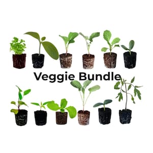 May include: A collection of young vegetable plants, each in a small pot, arranged against a white background. The plants include various types of vegetables, with the text "Veggie Bundle" in black letters.