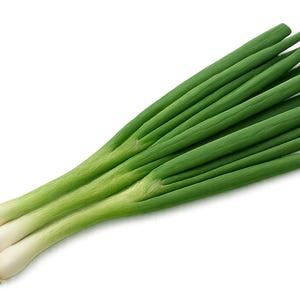 May include: A bunch of fresh green onions, also known as scallions, against a white background. The green leaves are vibrant, and the white bulbs have small root systems. These vegetables are often used in cooking.