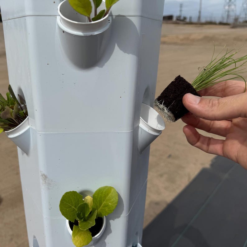 May include: A white, multi-tiered vertical garden system with various plants in the planting pockets. A hand is placing a small plant with roots into one of the pockets. The plants include leafy greens and herbs.