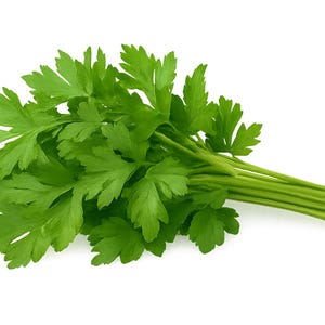 May include: A fresh bunch of bright green parsley, a popular herb used in cooking. The leaves are a vibrant green, and the stems are a lighter green. The parsley is displayed against a clean white background.