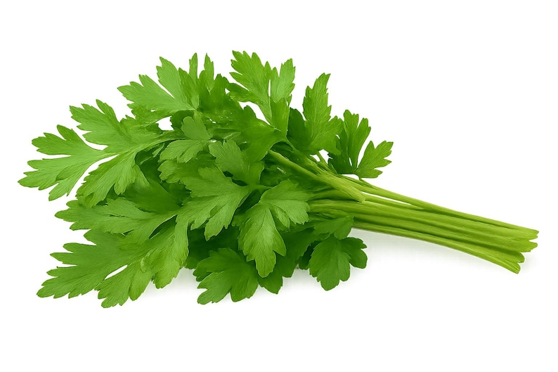 May include: A fresh bunch of bright green parsley, a popular herb used in cooking. The leaves are a vibrant green, and the stems are a lighter green. The parsley is displayed against a clean white background.