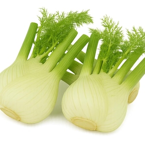 May include: Two fresh fennel bulbs with bright green stalks and feathery fronds. The bulbs are pale green and white, with visible vertical striations. The image is set against a clean white background, highlighting the natural colors.