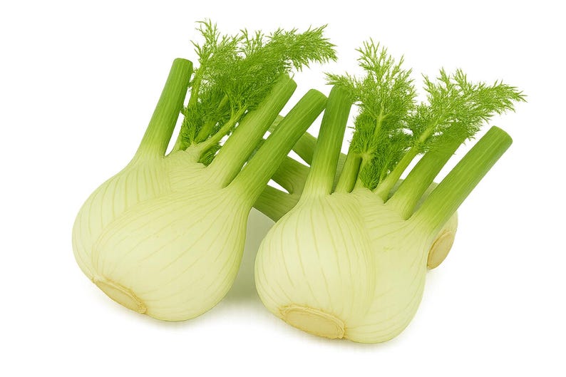 May include: Two fresh fennel bulbs with bright green stalks and feathery fronds. The bulbs are pale green and white, with visible vertical striations. The image is set against a clean white background, highlighting the natural colors.