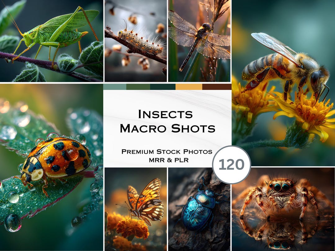 Micro Insect Shots Insect Macro Shots Stock Photos Bugs Animals Bee Aesthetic Photos ...