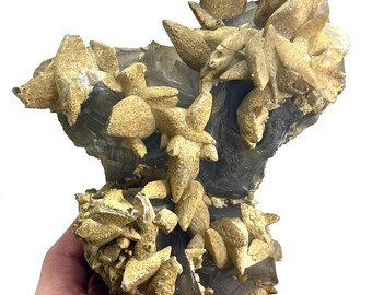 Phantom Cubic Fluorite with Calcite Specimen - Pakistan