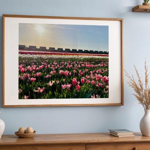 Tulipani della valle di Skagit con treno / Stampa digitale