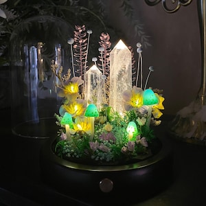Pu&ograve; includere: Un terrario decorativo illuminato con cristalli di quarzo trasparente, funghi luminosi e fiori delicati. La composizione &egrave; ambientata in una base nera con un bordo dorato, creando un'esposizione stravagante e incantevole. I funghi e i fiori emettono una luce soffusa e calda.