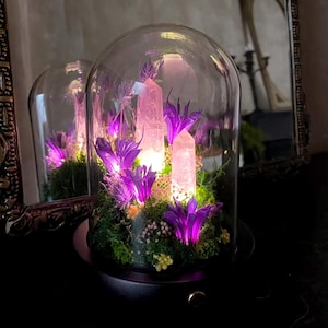 May include: A decorative glass dome with a black base, showcasing illuminated pink crystals and purple flowers. The arrangement includes green moss and small white flowers, creating a mystical and enchanting display. The dome is reflected in a nearby mirror.