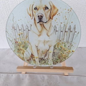 8-in Labrador Design Trivet, Matching Absorbent Neoprene Coasters Available, Round Glass Trivet/Cutting board, Retriever Design, Free Tripod