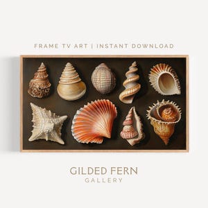 May include: A framed print featuring a collection of various seashells in shades of brown, beige, and orange against a dark background. The print includes the text "FRAME TV ART | INSTANT DOWNLOAD" and "GILDED FERN GALLERY".
