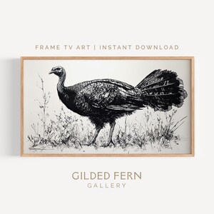 Turkey Sketch Frame TV Art: Vintage Thanksgiving Illustration (Digital Download)