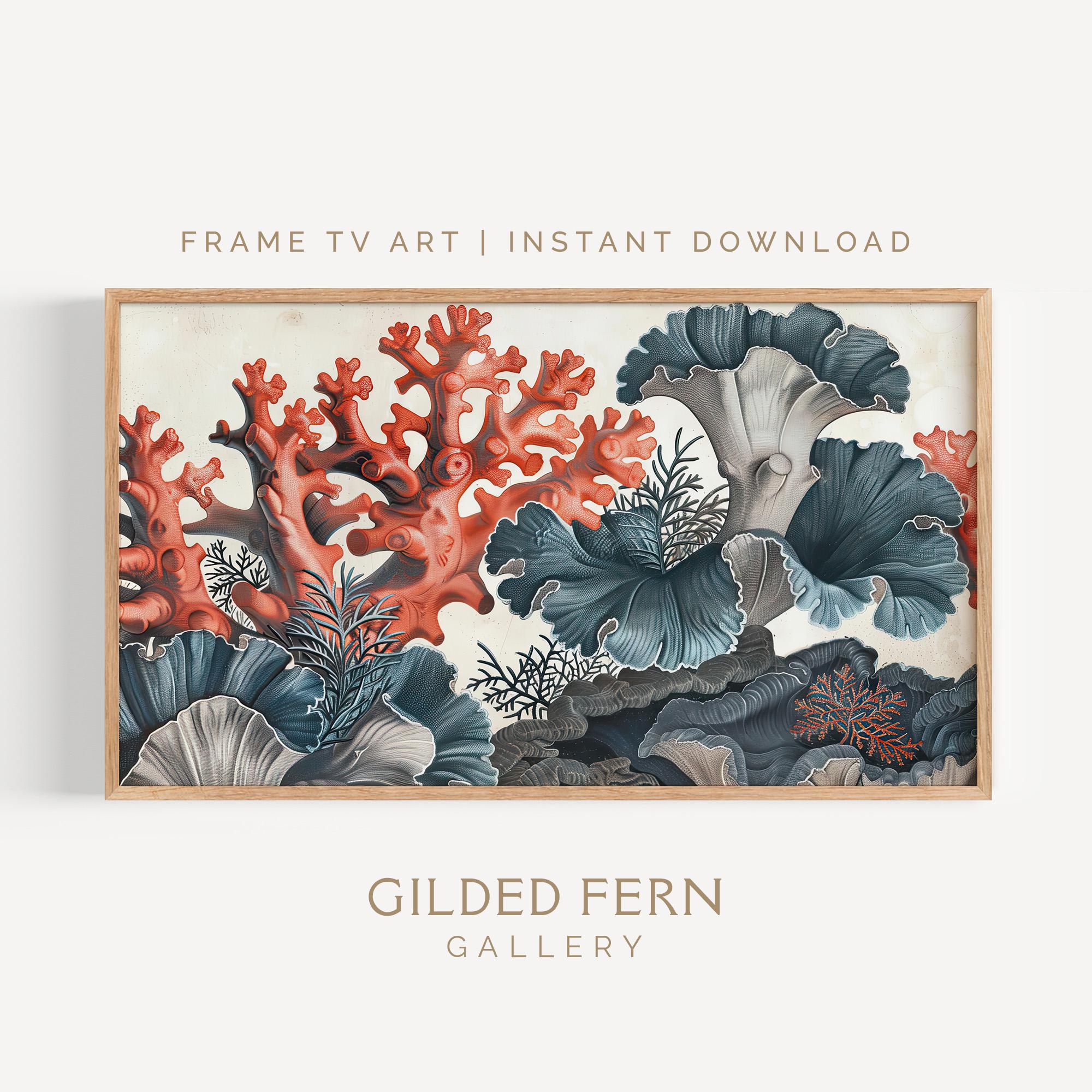 Reef Frame Vintage Coral Reef Frame TV Art: Colorful Marine Life Illustration ...
