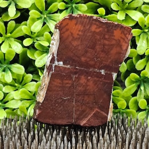 Jasper - Rough Lapidary Slab - Unpolished