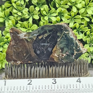 May include: A polished, irregularly shaped stone with a mix of dark green, brown, and black hues. The stone is resting on a metal floral frog, with a ruler in the foreground. The stone's surface has intricate patterns and textures.
