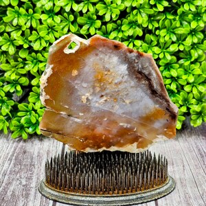 Addison Agate - Rough Lapidary Slab - Unpolished