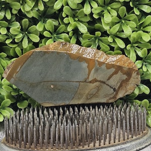 Jasper - Rough Lapidary Slab - Unpolished