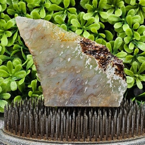 Agate - Rough Lapidary Slab - Unpolished