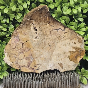 Jasper - Rough Lapidary Slab - Unpolished