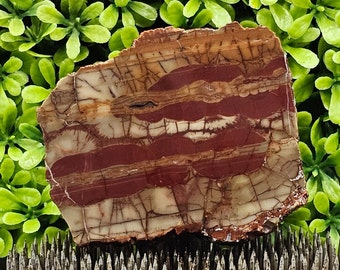 Spiderweb Rhyolite - Rough Lapidary Slab - Unpolished