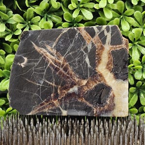 Septarian Nodule (Dragon Stone)- Rough Lapidary Slab- Unpolished