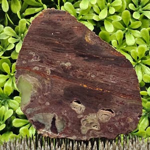 Jasp-Agate - Rough Lapidary Slab - Unpolished
