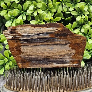 Biggs Picture Jasper - Lastra lapidaria grezza - Non lucidata