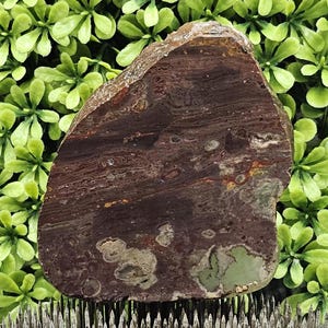 Jasp-Agate - Rough Lapidary Slab - Unpolished