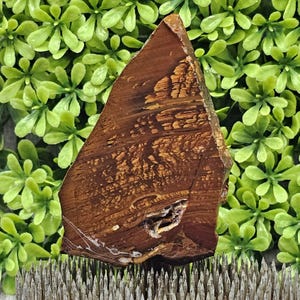 Biggs Jasper - Beers Mountain Oregon - Rough Lapidary Slab - Unpolished