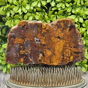 Biggs Jasper - Beers Mountain Oregon - ruwe lapidaire plaat - ongepolijst