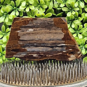 Biggs Picture Jasper - Lastra lapidaria grezza - Non lucidata