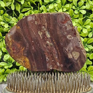 Jasp-Agate - Rough Lapidary Slab - Unpolished